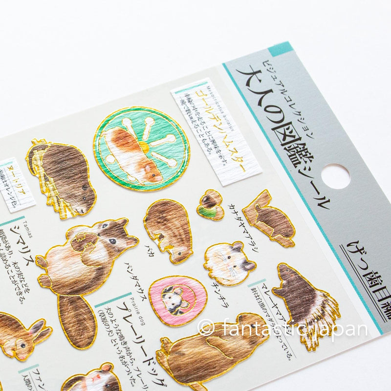 Gold foil visual collection sticker -rodent-
