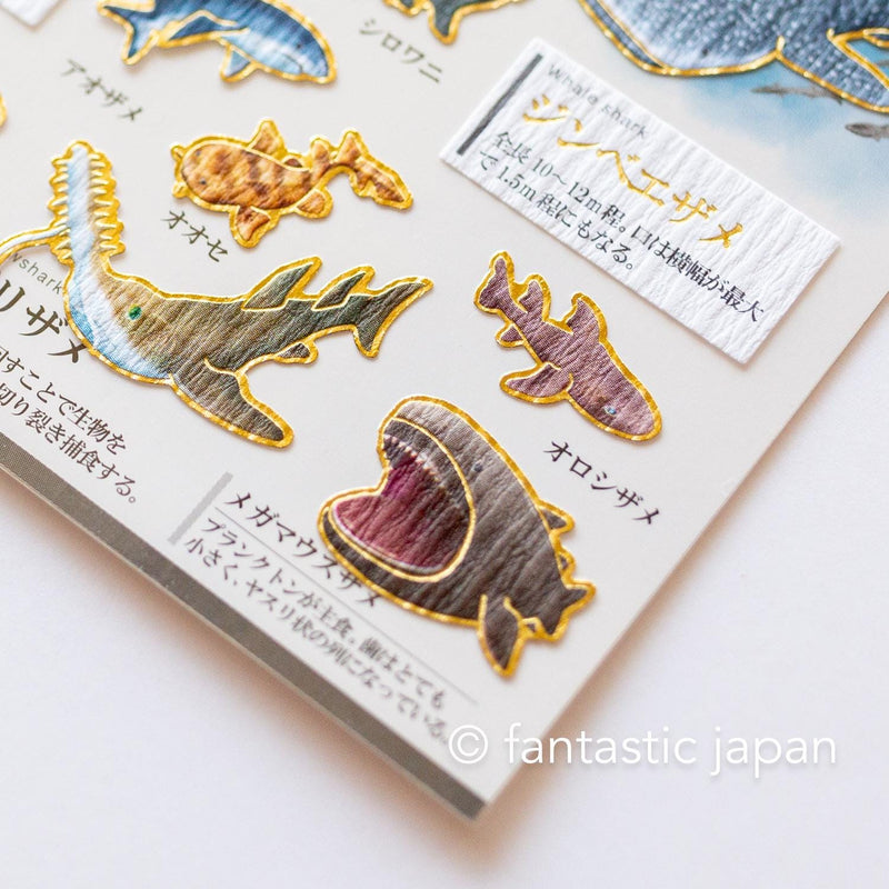 Gold foil visual collection sticker -shark-