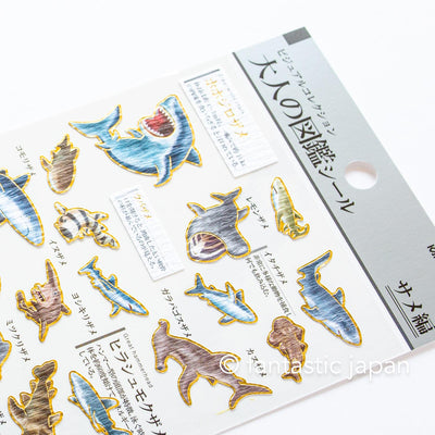 Gold foil visual collection sticker -shark-