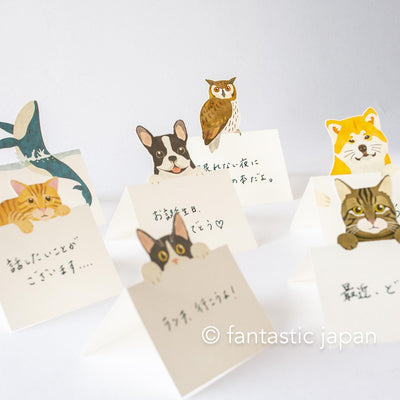 Diecut stand message pad -bicolor cat-