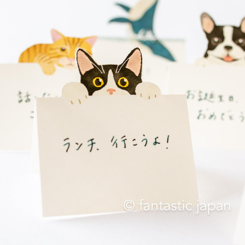 Diecut stand message pad -bicolor cat-