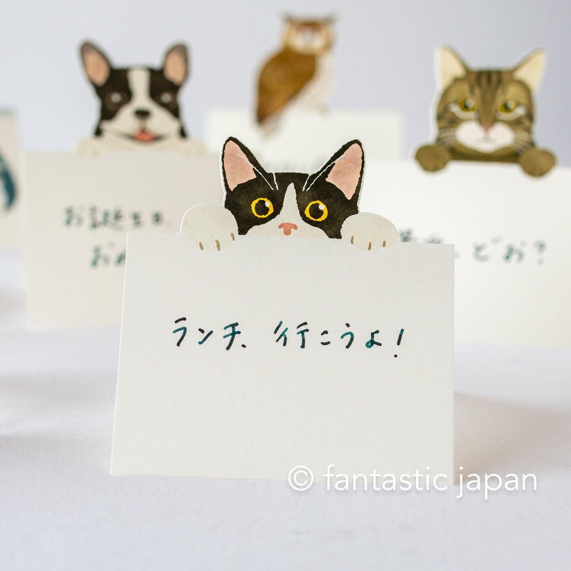 Diecut stand message pad -bicolor cat-