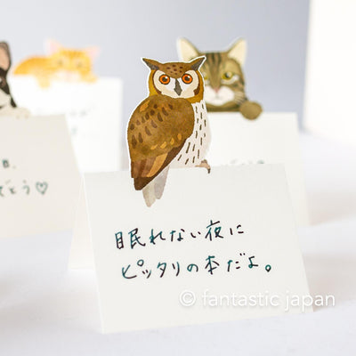 Diecut stand message pad -owl-