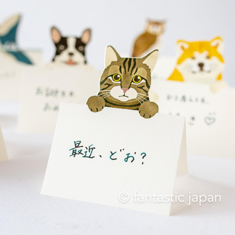 Diecut stand message pad -brown tabby cat-