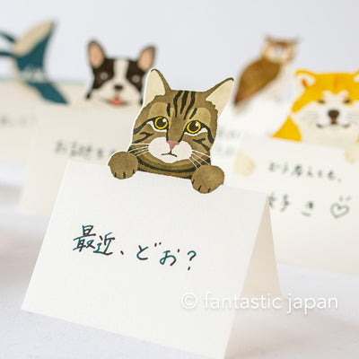 Diecut stand message pad -brown tabby cat-