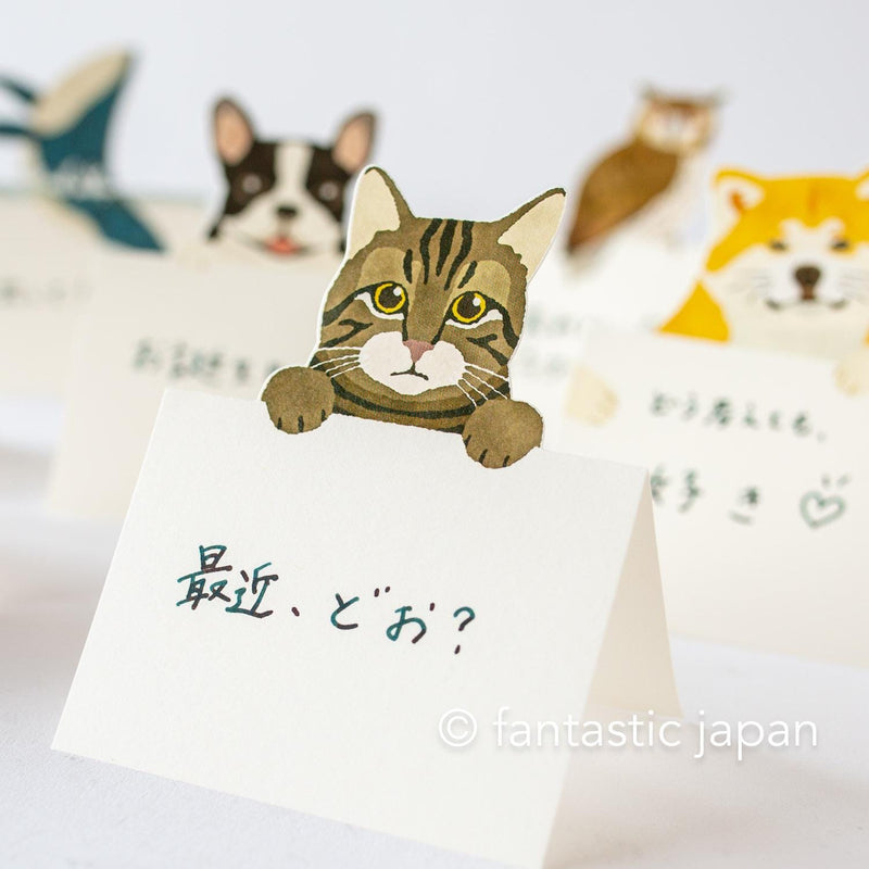 Diecut stand message pad -brown tabby cat-