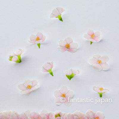 bande Masking Washi Roll Sticker -Yoshino cherry-