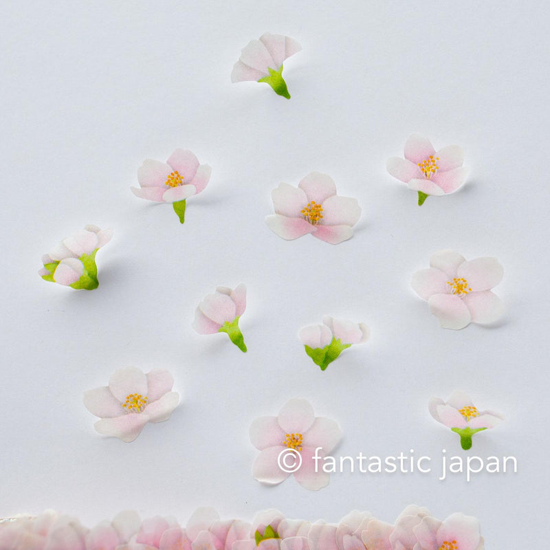 bande Masking Washi Roll Sticker -Yoshino cherry-