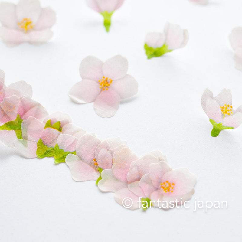 bande Masking Washi Roll Sticker -Yoshino cherry-