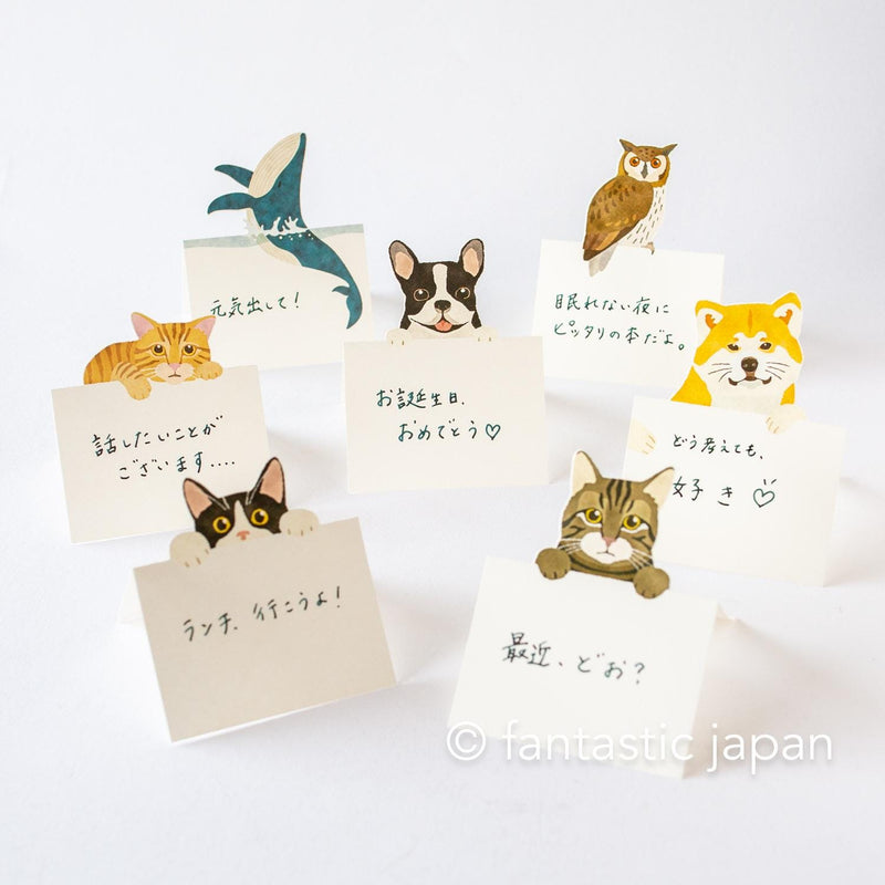 Diecut stand message pad -bicolor cat-