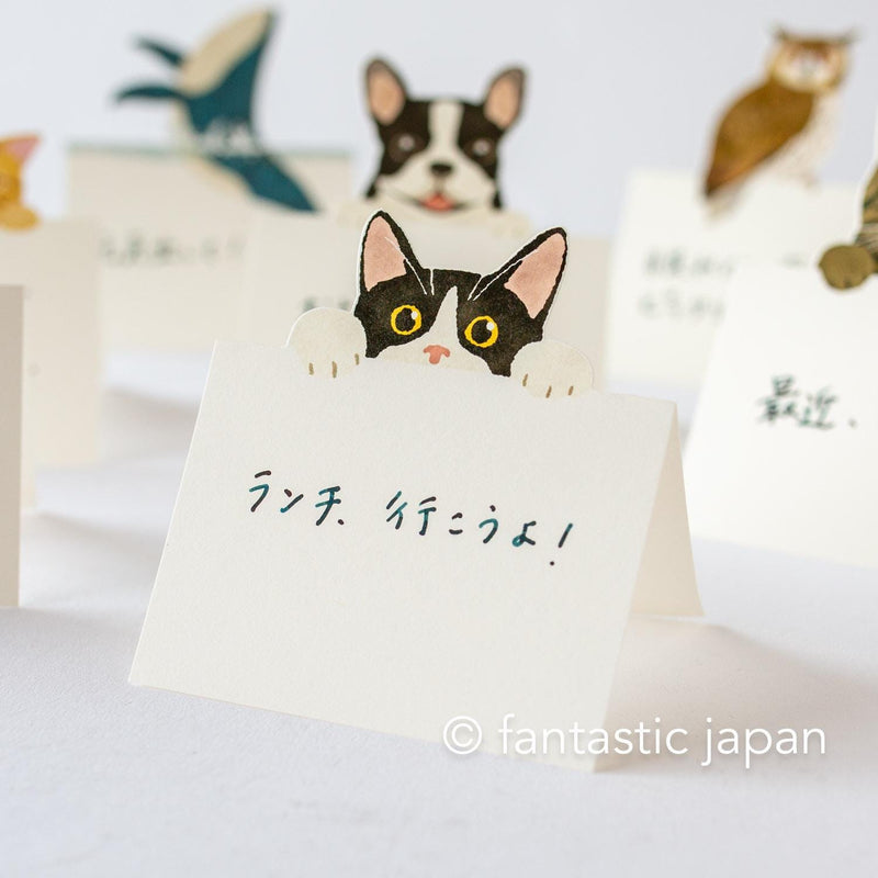 Diecut stand message pad -bicolor cat-
