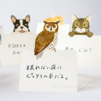 Diecut stand message pad -owl-
