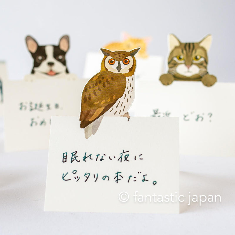 Diecut stand message pad -owl-
