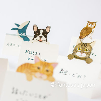 Diecut stand message pad -red tabby cat-