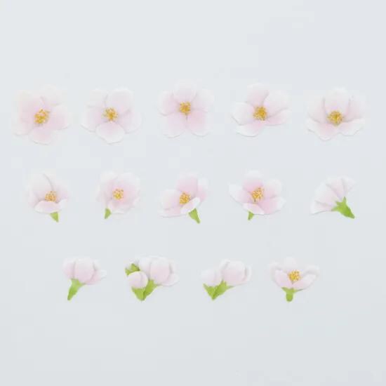 bande Masking Washi Roll Sticker -Yoshino cherry-
