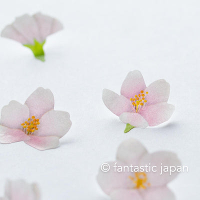 bande Masking Washi Roll Sticker -Yoshino cherry-