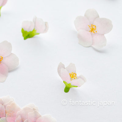 bande Masking Washi Roll Sticker -Yoshino cherry-