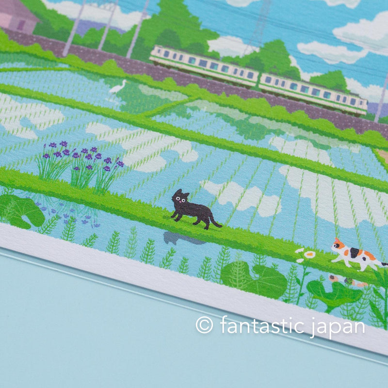 tabi-neko post card -Rice fields in early summer-