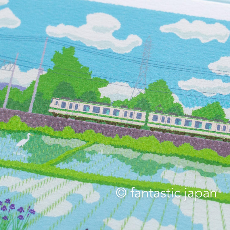 tabi-neko post card -Rice fields in early summer-