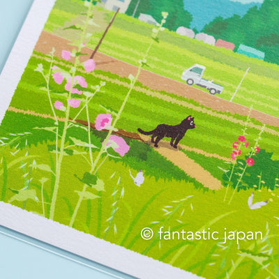 tabi-neko post card -early summer light-