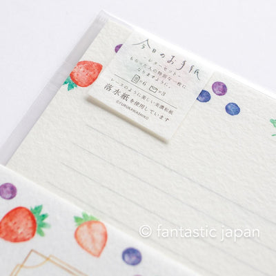 Japanese washi letter writing set -berry berry- / FURUKAWA SHIKO/