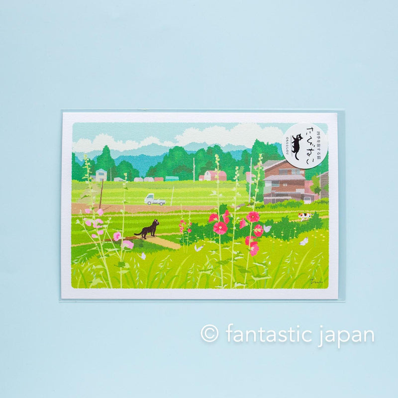 tabi-neko post card -early summer light-