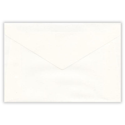 Transparent envelope summer letter set -swan-