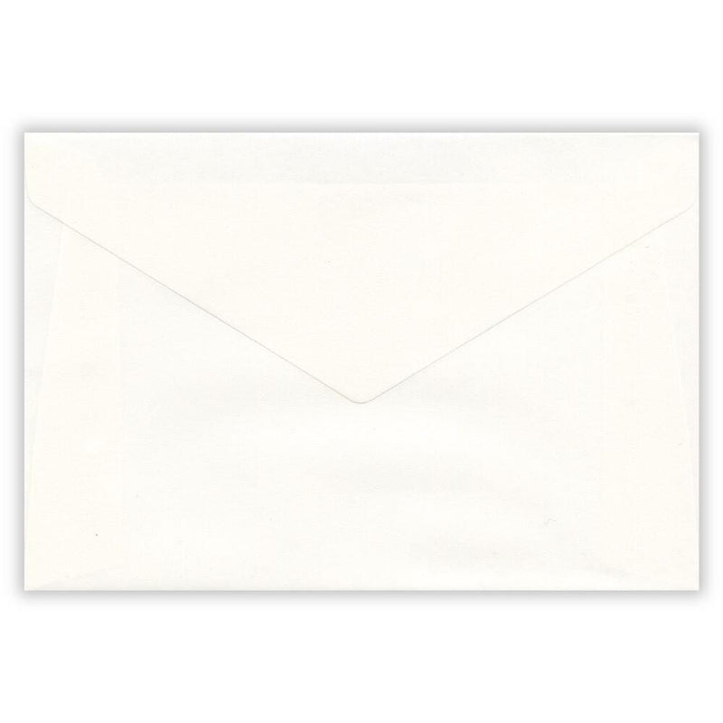 Transparent envelope summer letter set -swan-