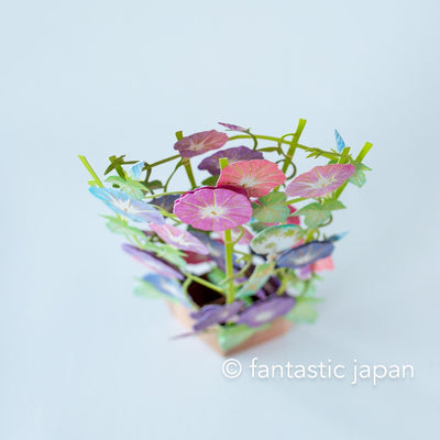 Summer pop up card -morning glory-