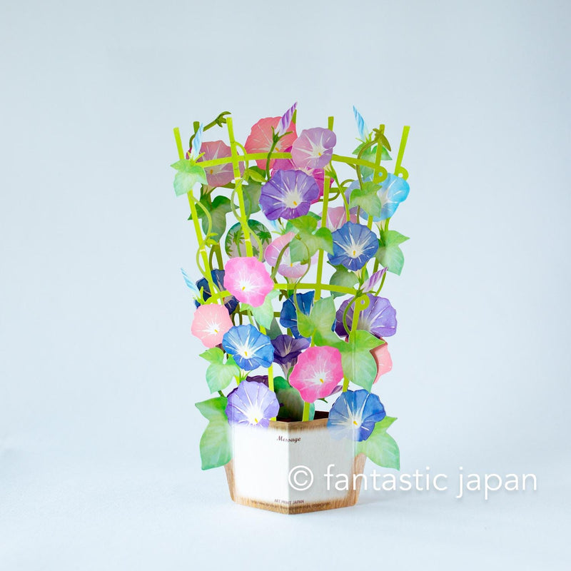 Summer pop up card -morning glory-