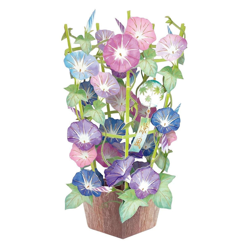 Summer pop up card -morning glory-