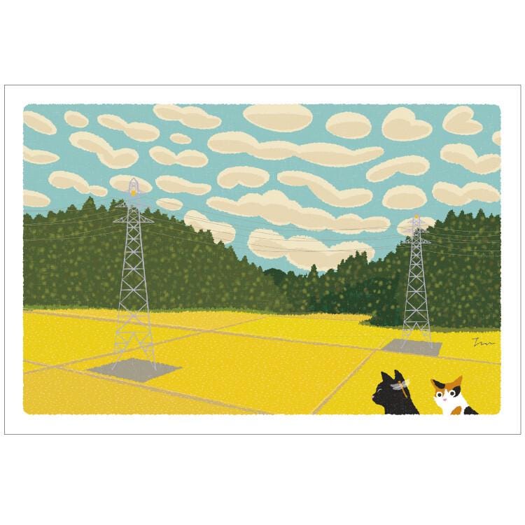 tabi-neko post card -Cirrocumulus clouds-