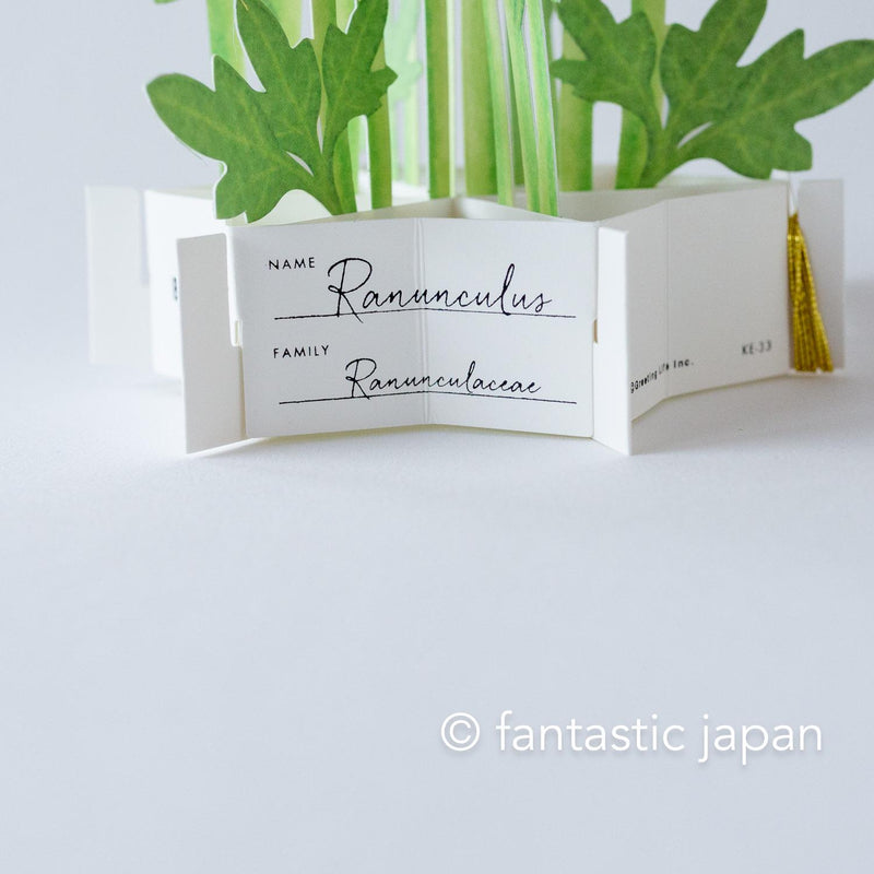 Birthday Blooming card -ranunculus-