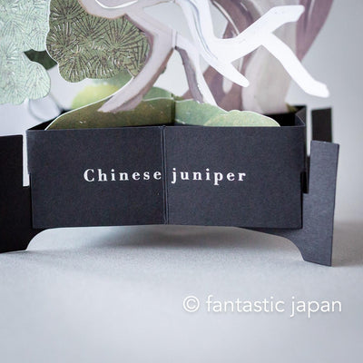 Bonsai pop-up greeting card -Shinpaku juniper-