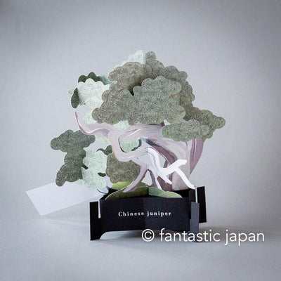 Bonsai pop-up greeting card -Shinpaku juniper-