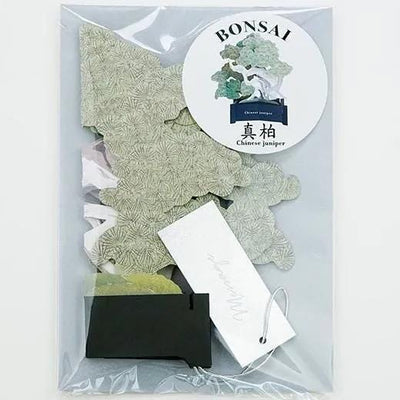 Bonsai pop-up greeting card -Shinpaku juniper-
