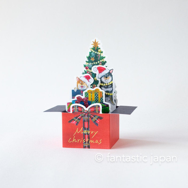Box Christmas Card -Shibaken with Christmas card-