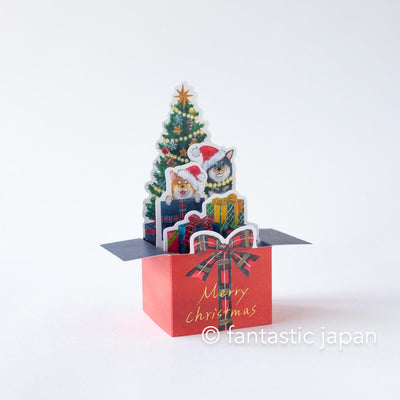 Box Christmas Card -Shibaken with Christmas card-