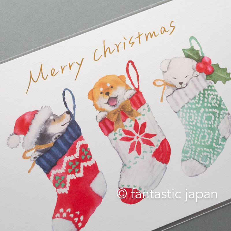 Murata Natsuka post card -Shiba Inu in a Christmas Stocking-