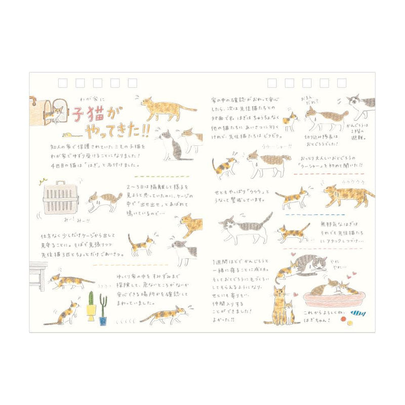 MIDORI｜2026 desktop ring calendar -Cat M size-