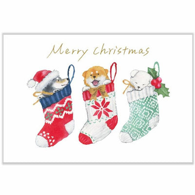 Murata Natsuka post card -Shiba Inu in a Christmas Stocking-