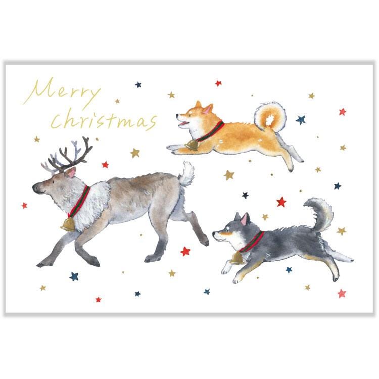 Murata Natsuka post card -Shiba Inu in a Christmas Stocking-