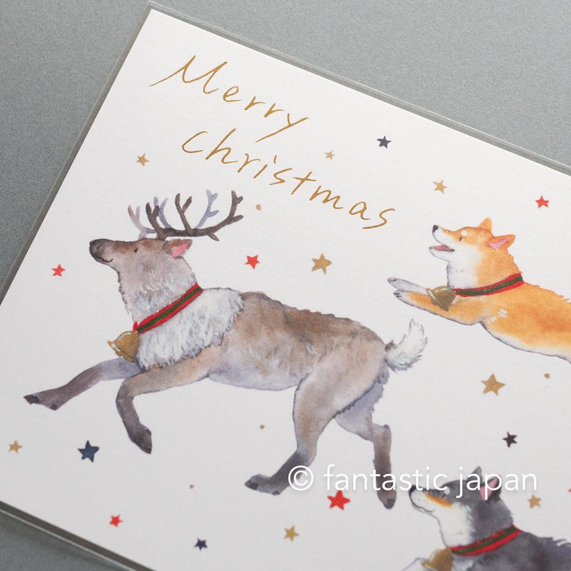 Murata Natsuka post card -Shiba Inu in a Christmas Stocking-