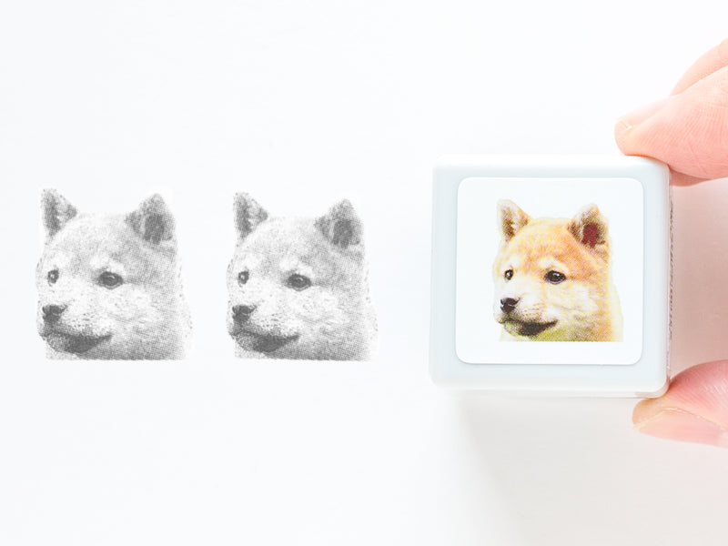 Real photo stamp -Shiba dog "Taro"-