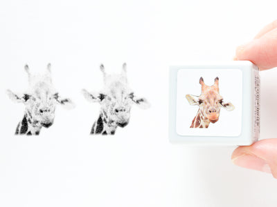 Real photo stamp -Giraffe-
