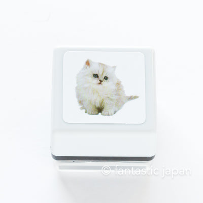 Real photo stamp -Persian Cat "Charlotte"-