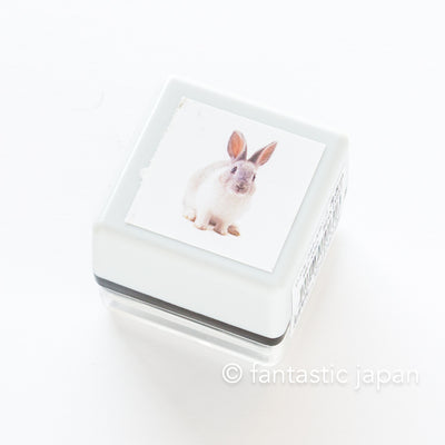 Real photo stamp -Rabbit "Itoh"-