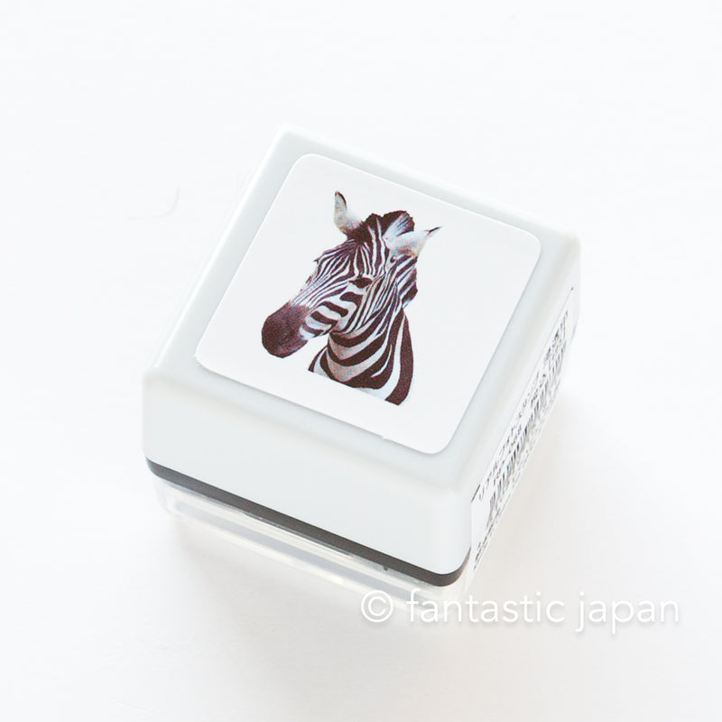 Real photo stamp -Zebra-