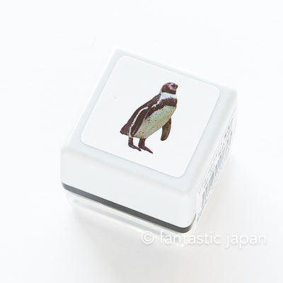 Real photo stamp -Humboldti Penguin-
