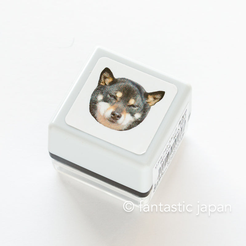 Real photo stamp -Shiba puppy-